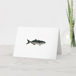 Chopper Bluefish Card