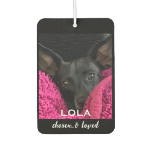 Chosen and Loved Personalised Dog Photo Car Air Freshener