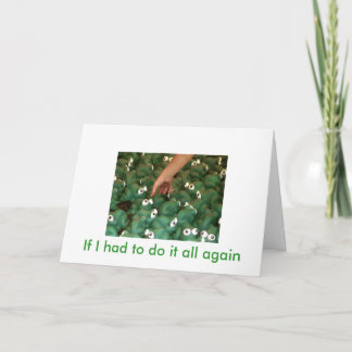 Chosen Card
