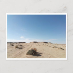 Chott el Gharsa (Tunisia) Postcard