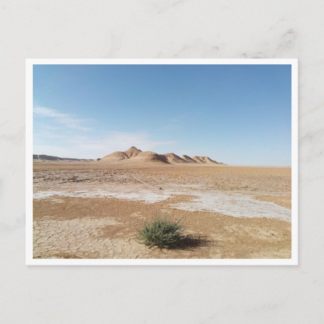 Chott el Gharsa (Tunisia) Postcard (Front)