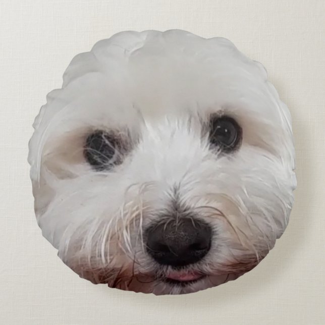 Choupy Maltese Round Cushion (Front)