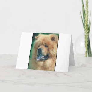 Chow Chow Card