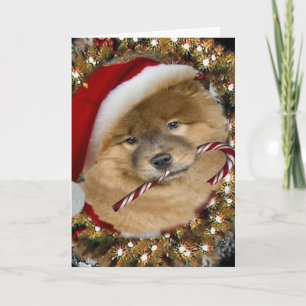 Chow Chow Christmas Candy Cane Cards