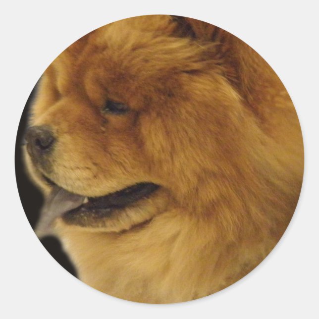 Chow Chow Classic Round Sticker (Front)