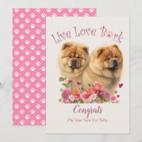 Chow Chow Dog Adoption, Gotcha Day