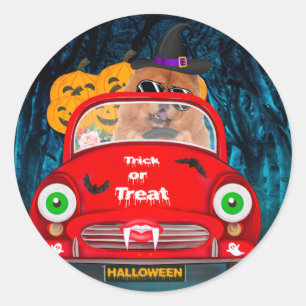 Chow Chow Dog Driving Car Scary Halloween  Classic Round Sticker
