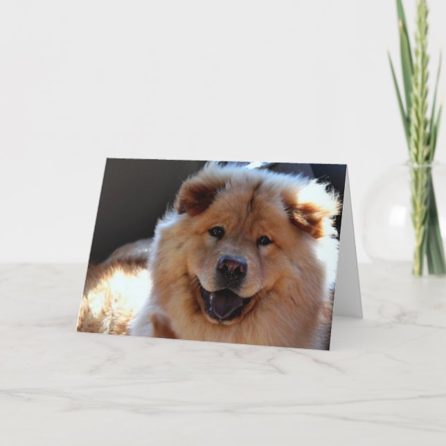 Chow Chow Dog Greeting Card (Front)