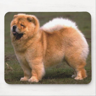 Chow Chow Dog Mouse Mat