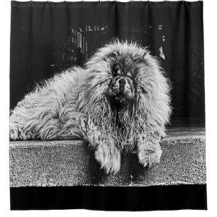 Chow Chow Dog on Porch, Black and White Shower Curtain