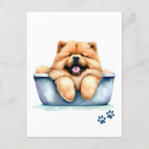Chow Chow Dog Postcard