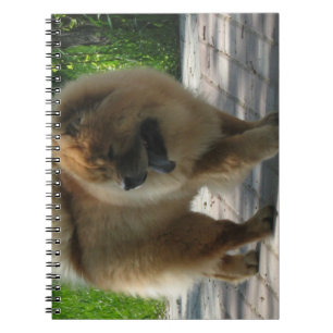 chow chow full.png notebook