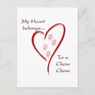 Chow Chow Heart Belongs Postcard