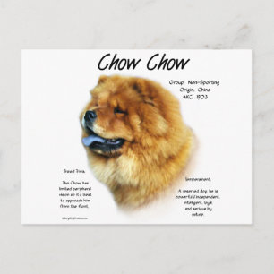 Chow Chow History Design Postcard