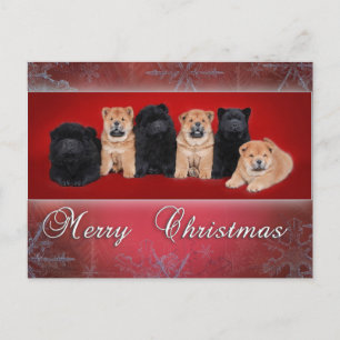 Chow-chow_kartka christmas holiday postcard