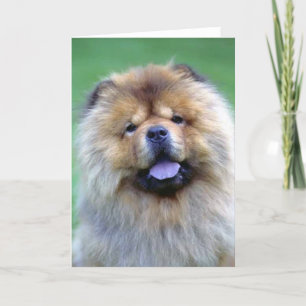 Chow Chow note cards