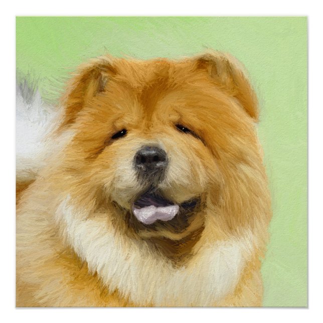 Chow Chow Painting - Cute Original Dog Art Poster (Front)