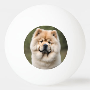 Chow Chow Ping Pong Ball