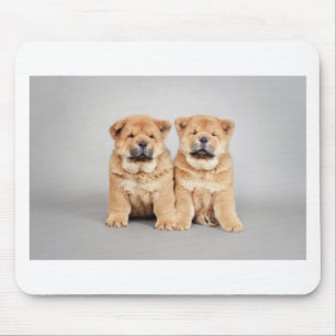 Chow chow puppies mouse mat