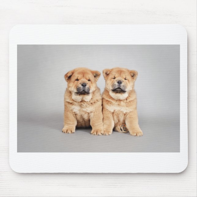 Chow chow puppies mouse mat (Front)