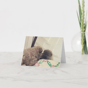 chow chow puppy sees herself in mirror thank you card