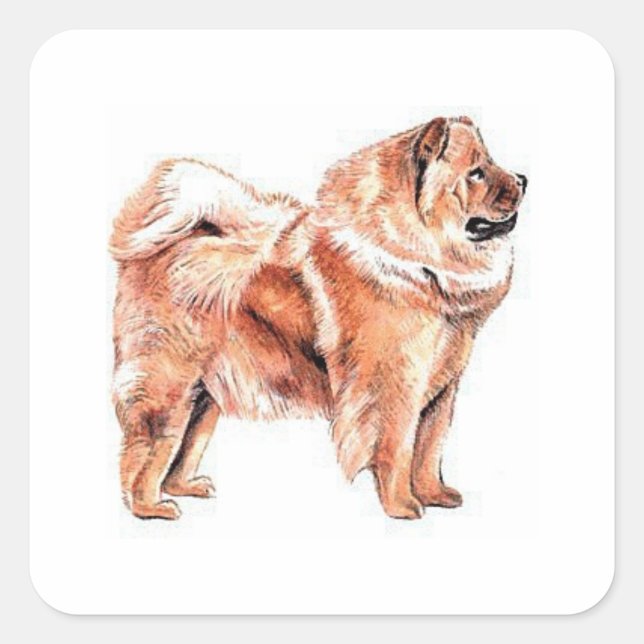 Chow Chow Red Square Sticker (Front)