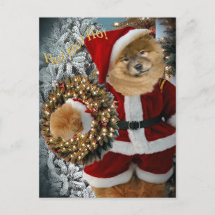 Chow Chow Santa Paws Holiday Postcard