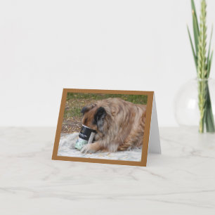 Chow loves ice cream Valentines Day card