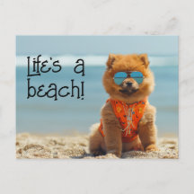 ChowChow Puppy wearing sunglasses postcard