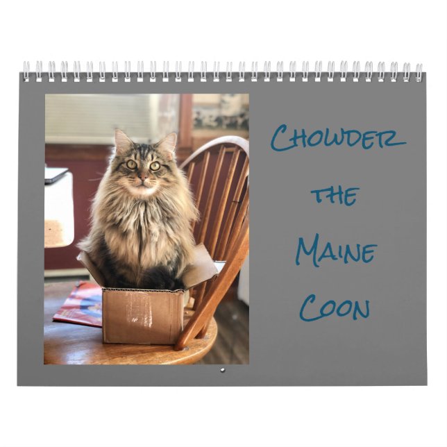 Chowder the Maine Coon Calendar (Cover)