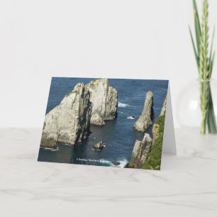 Chowiet Seabird Colonies Alaska General Friendship Thank You Card