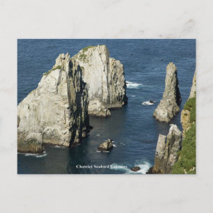 Chowiet Seabird Colonies, Alaska Postcard