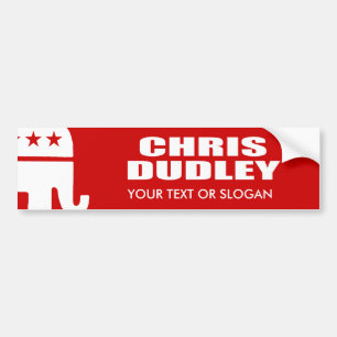CHRIS DUDLEY FOR GOVERNOR BUMPER STICKER