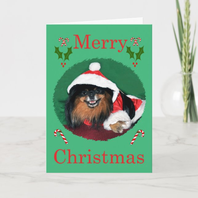 chris peb new holiday card (Front)