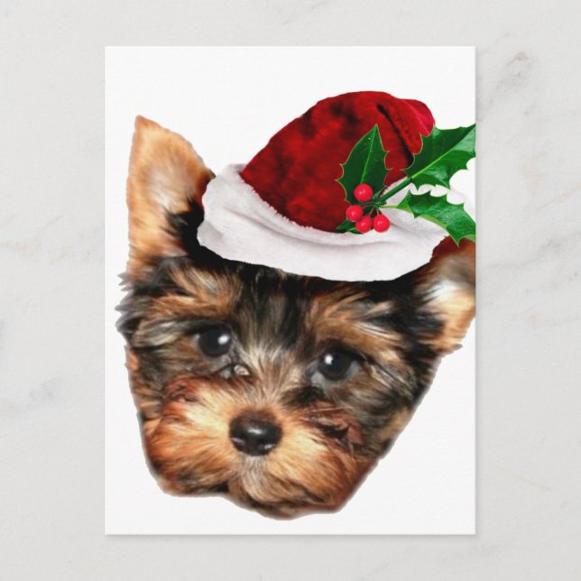Chrismtas Yorkshire Terrier puppy dog Postcard (Front)