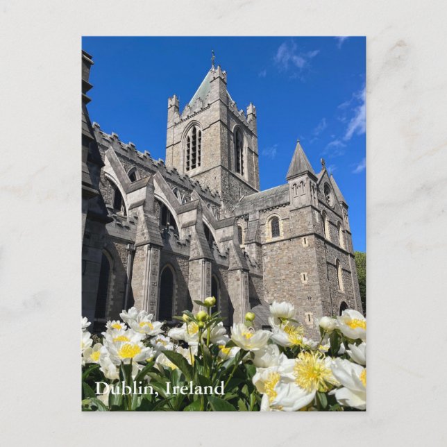 Christ Church in Dublin, Ireland  Postcard (Front)