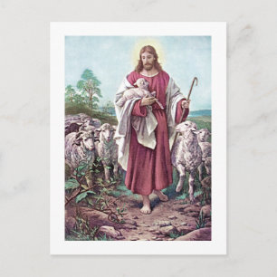 Christ The Good Shepherd Bernhard Plockhorst 1878 Postcard