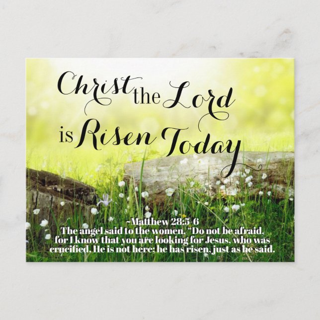 Christ the Lord is Risen Today Matthew 28:5 Easter Holiday Postcard (Front)