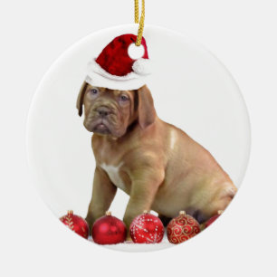 Christas Dogue de Bordeaux puppy Ceramic Tree Decoration