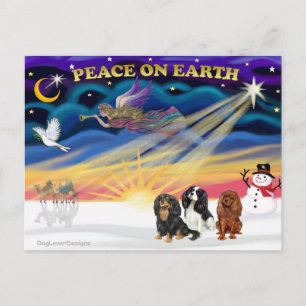Christgmas Sunrise - Cavalier King Charles (three) Postcard