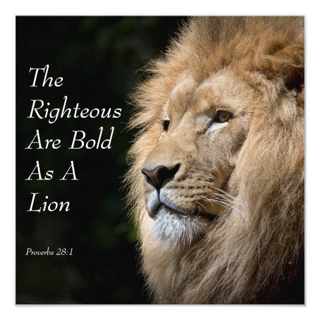 Christian Art - Lion - Proverbs 28:1 Photo Print (Front)