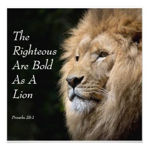 Christian Art - Lion - Proverbs 28:1 Photo Print