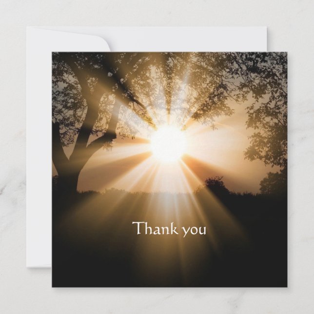 Christian Bible Scripture Thanks Sunlight Scenery Card (Front)