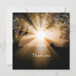 Christian Bible Scripture Thanks Sunlight Scenery Card