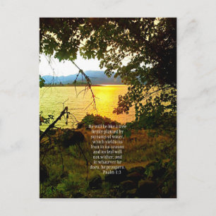 Christian Bible Verse Lake Landscape Creationarts Postcard