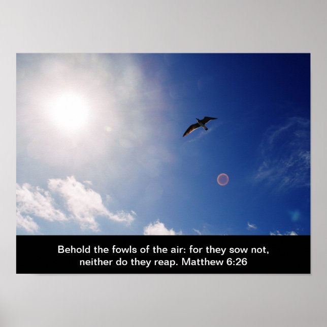 Christian biblical poster. Matthew 6:26 Poster (Front)