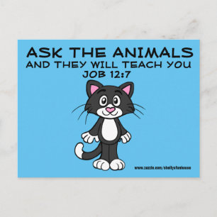 Christian Cat Postcards memes, Job 12:7
