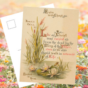 Christian Catholic Bible Christ is Risen Easter Holiday Postcard