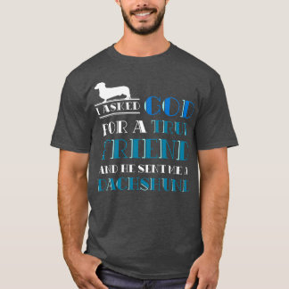 Christian Dog Owner Gift Pet Dachshund T-Shirt