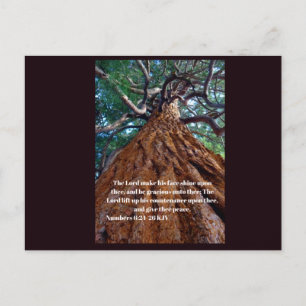 Christian inspirational quote on a beautiful tree postcard
